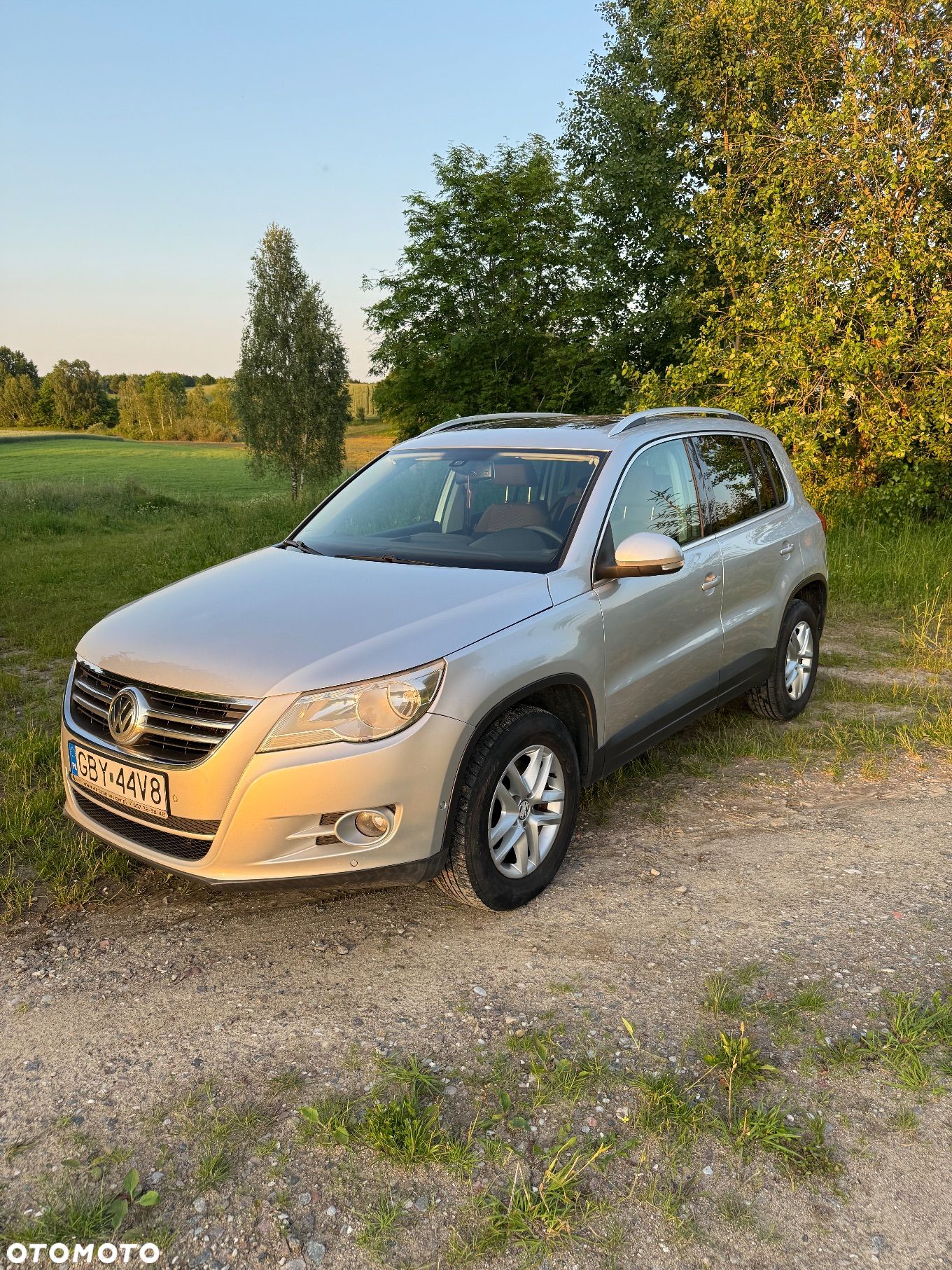Volkswagen Tiguan - 1