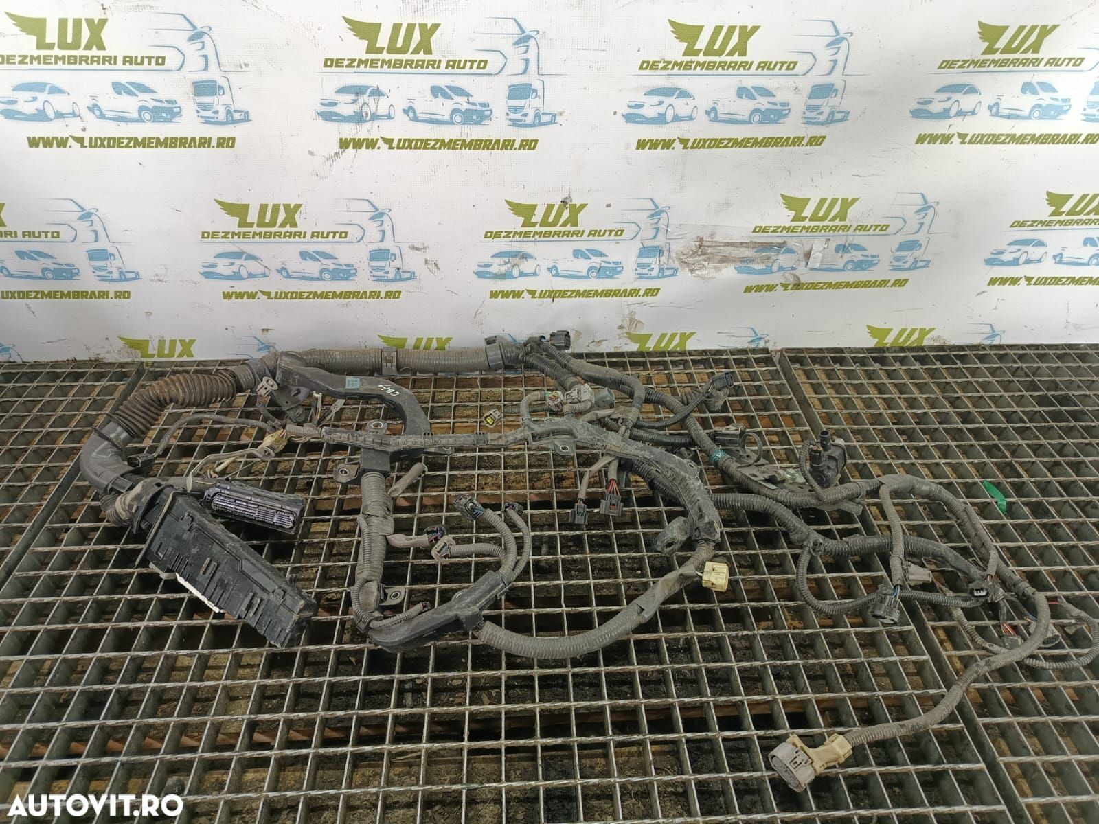 Instalatie electrica 2.5 2AR-FSE 82161-53l90a Lexus IS XE30 (facelift - 1