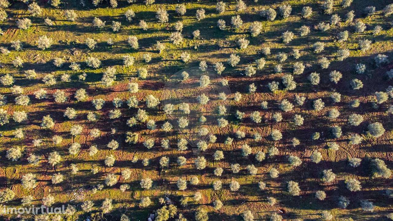 Terreno  para venda - Grande imagem: 3/8