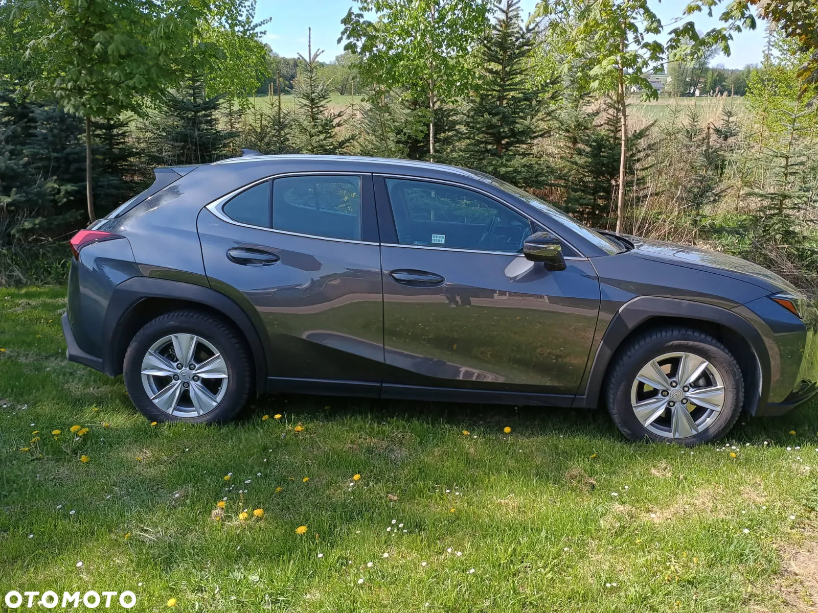 Lexus UX 250h GPF Business 2WD - 5