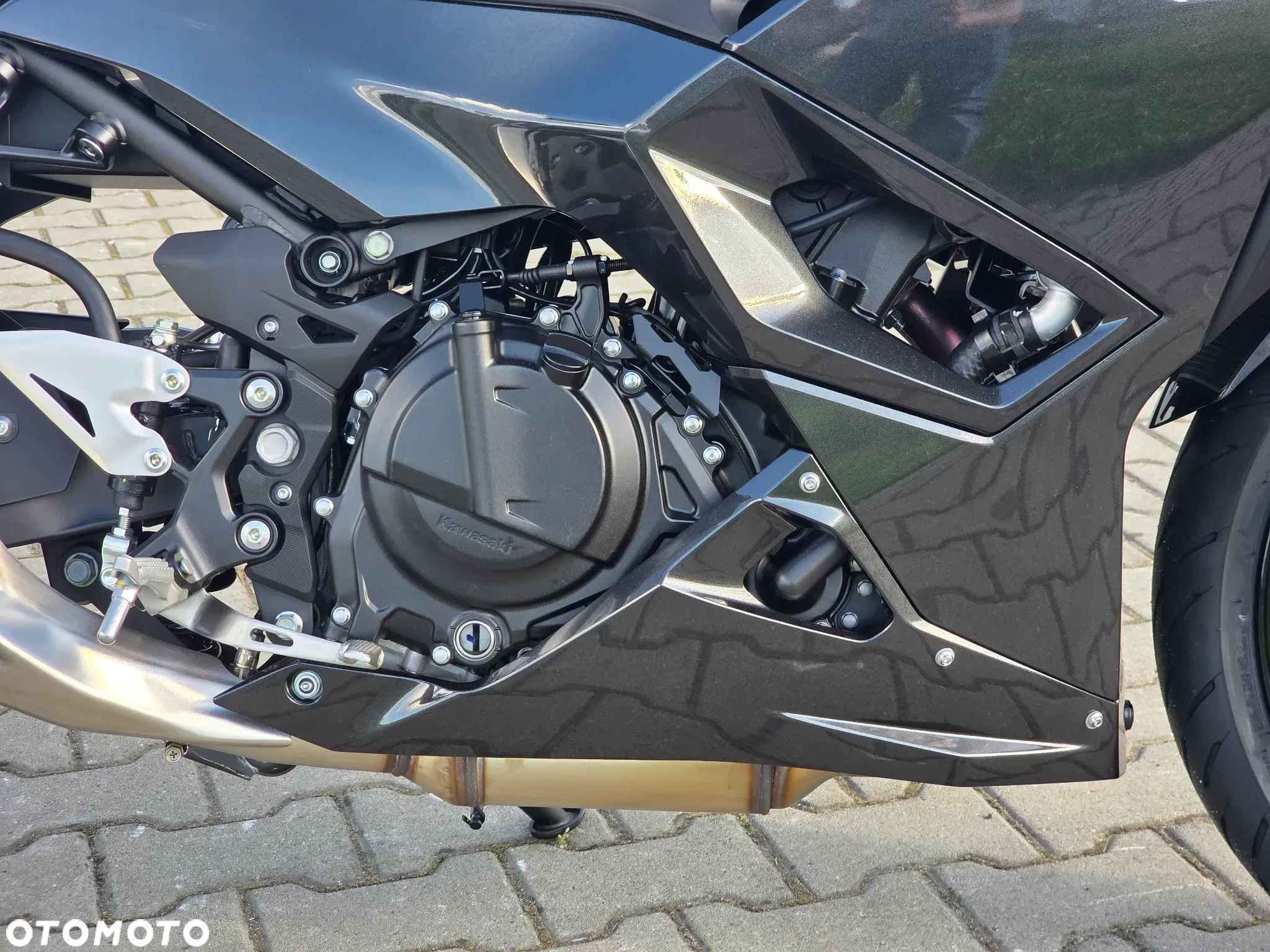 Kawasaki Ninja - 13