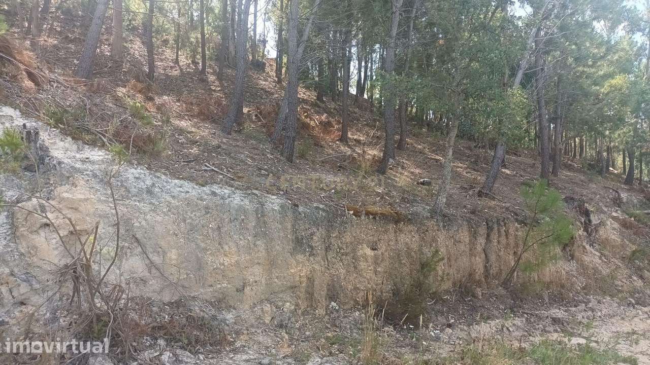 Terreno 1.850m2 || Arrabal - Grande imagem: 4/5