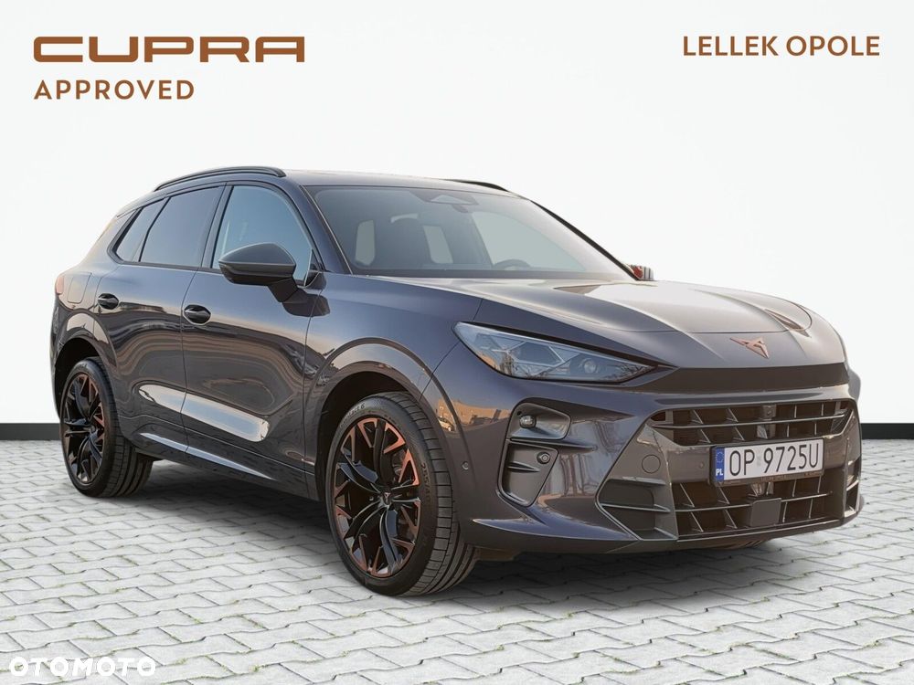 Cupra Terramar - 4