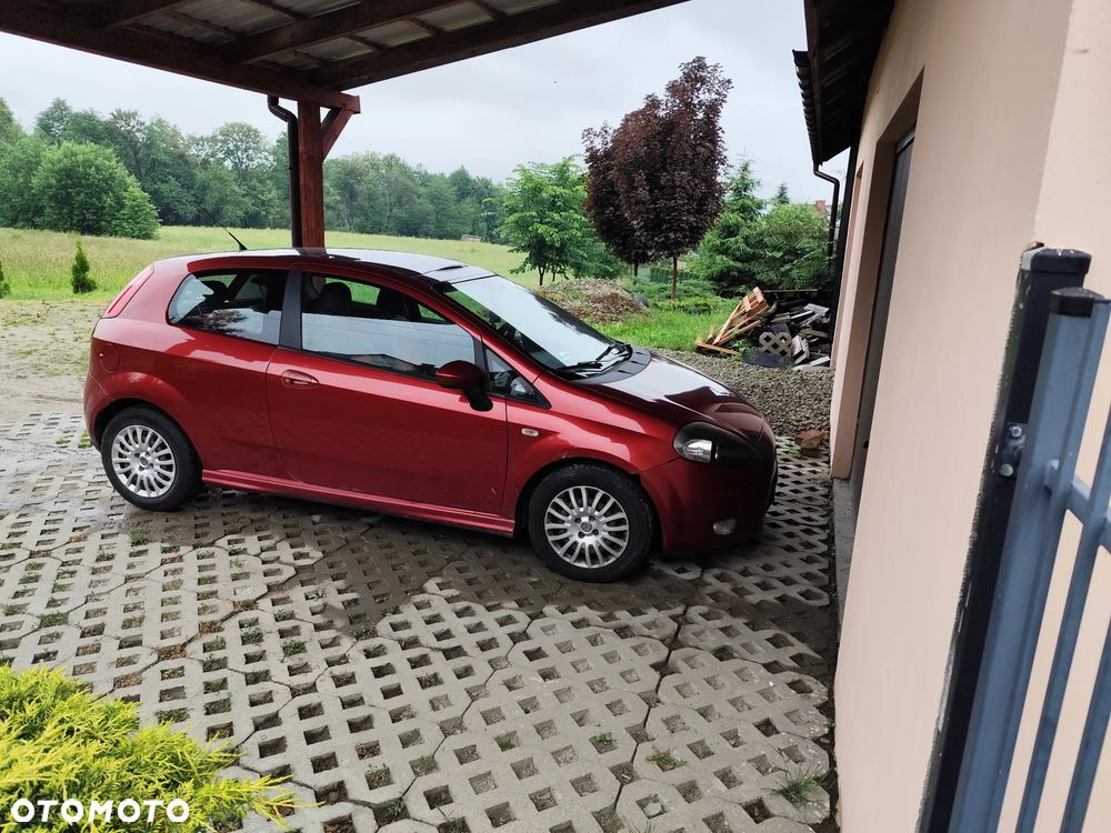 Fiat Punto - 5