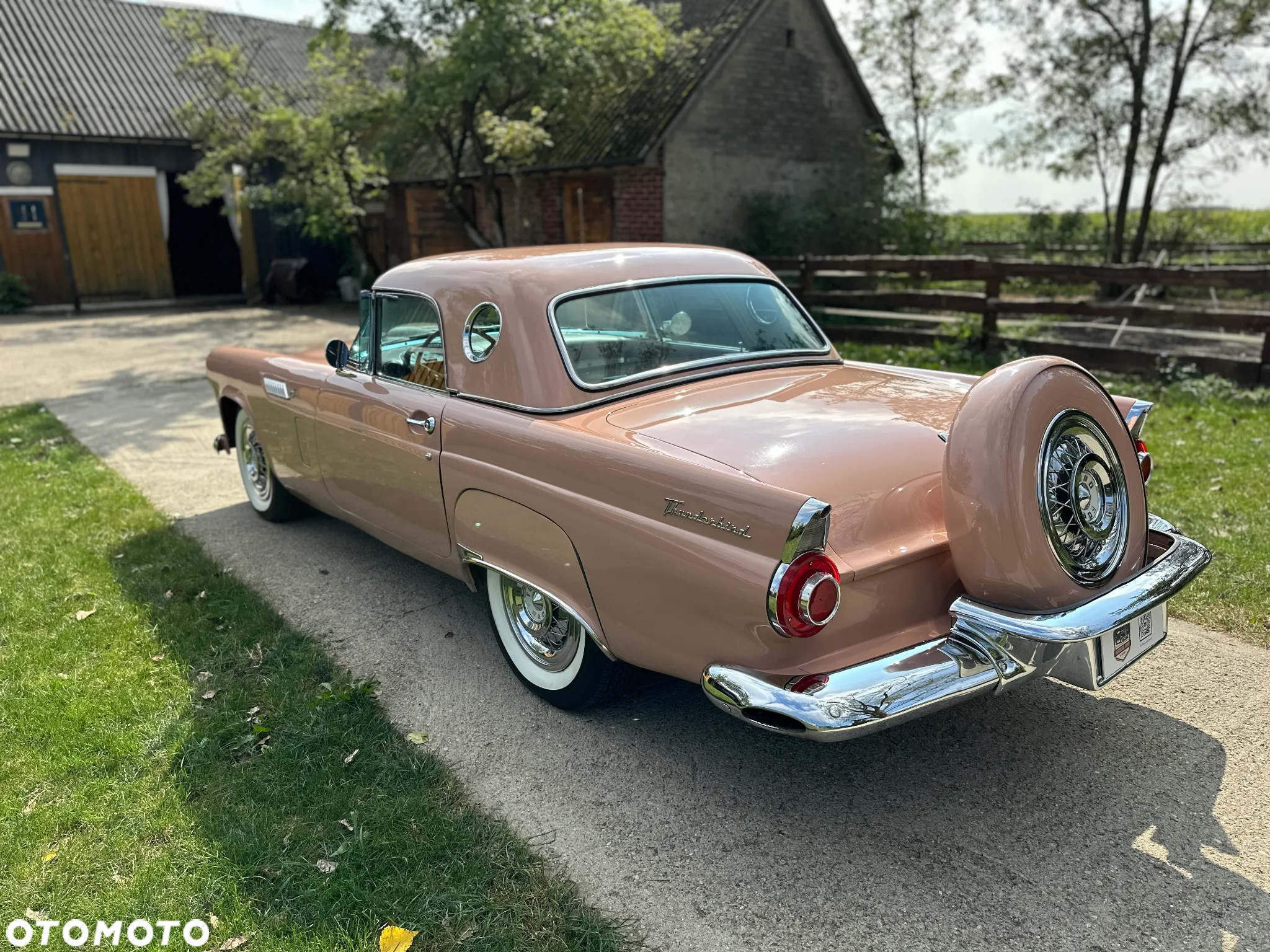 Ford Thunderbird - 8