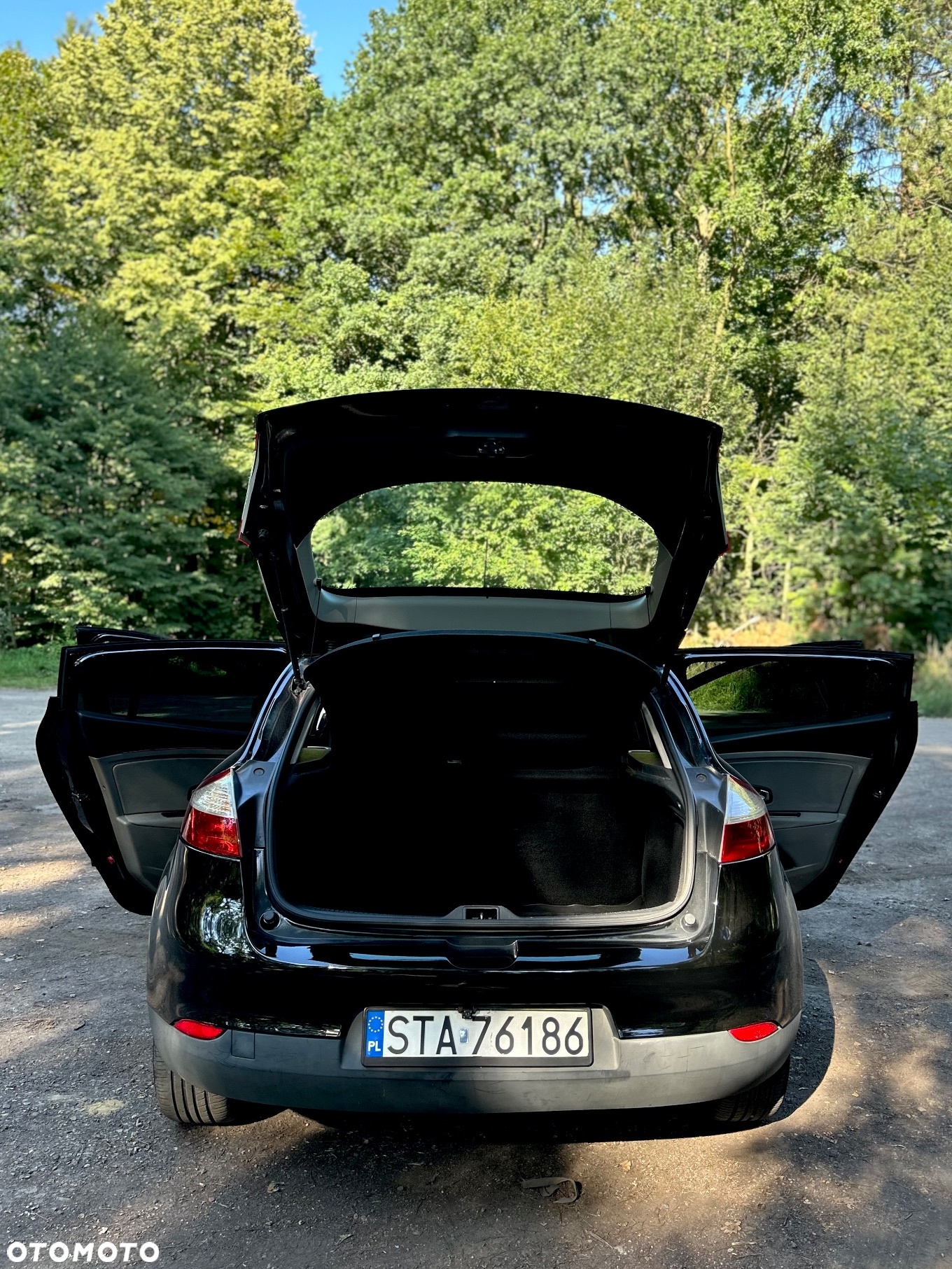 Renault Megane - 5