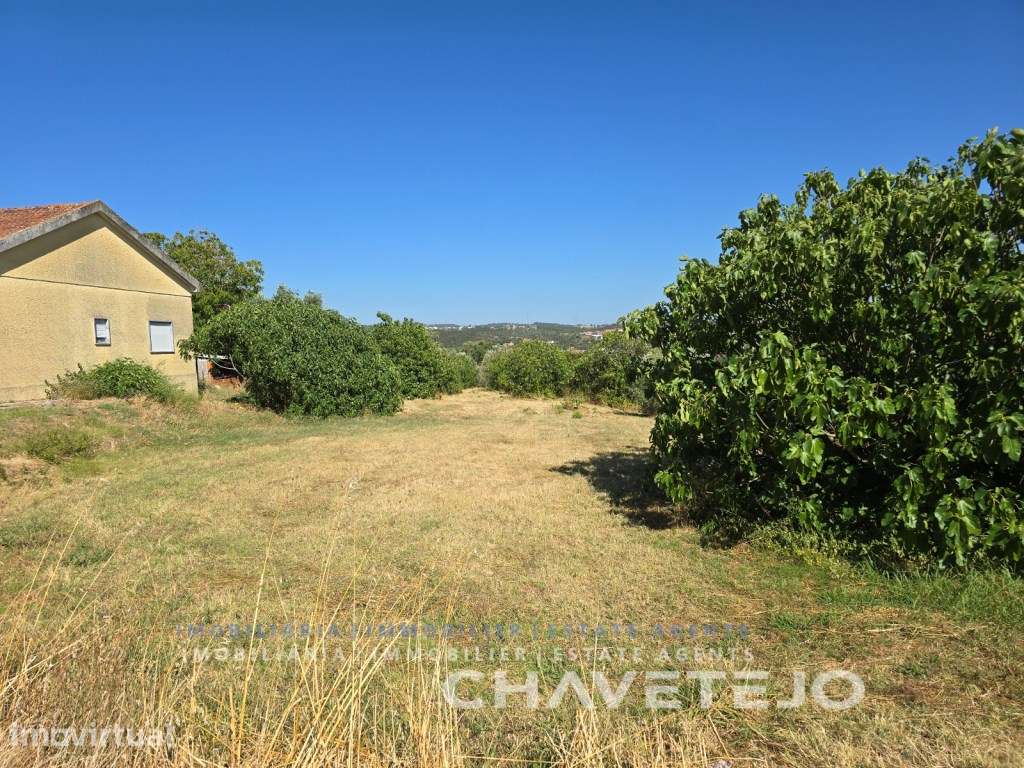 Lote de Terreno para construção em S. Pedro de Tomar - Grande imagem: 3/14