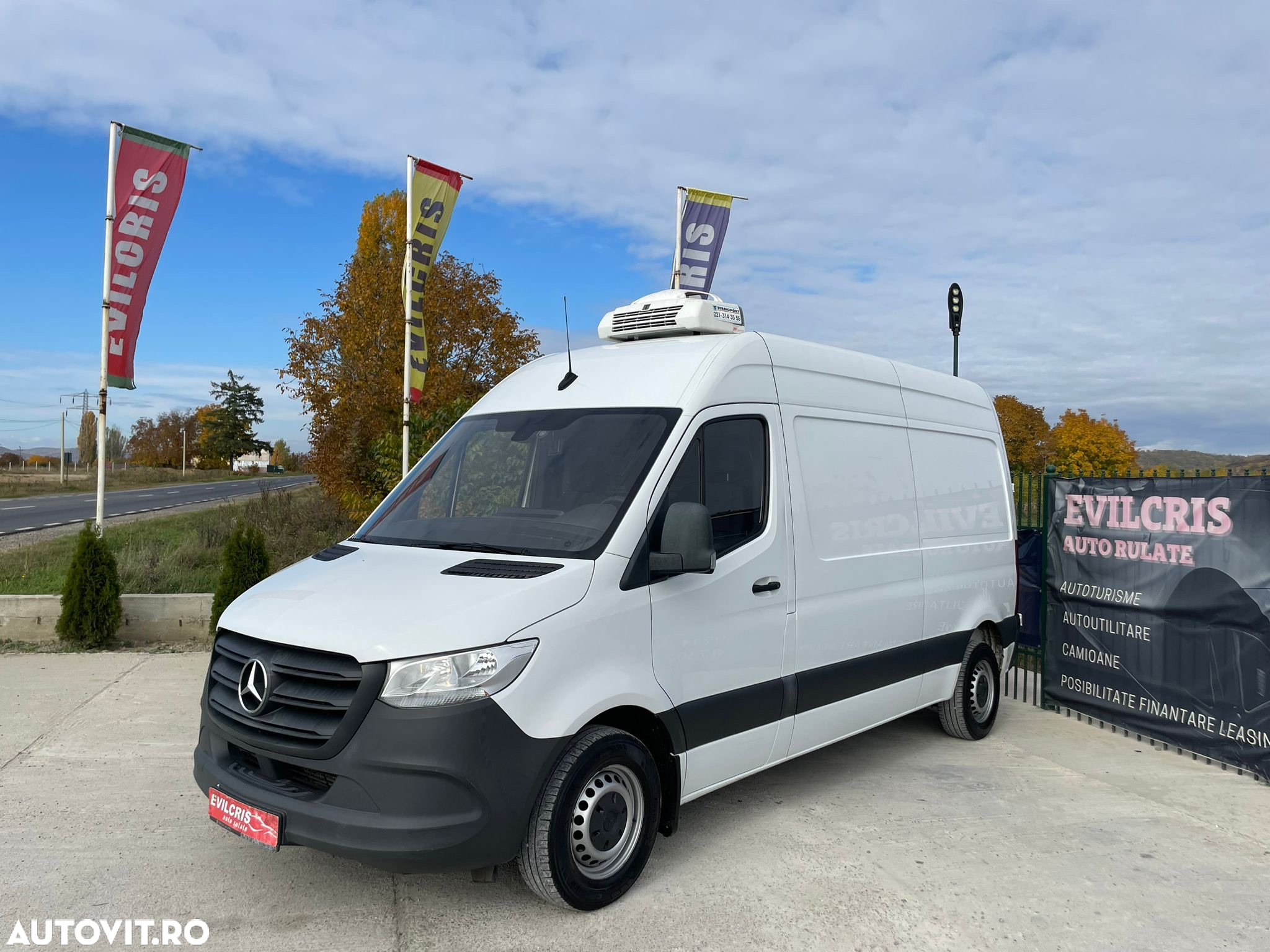 Mercedes-Benz Sprinter FRIGORIFIC THERMO KING - 29