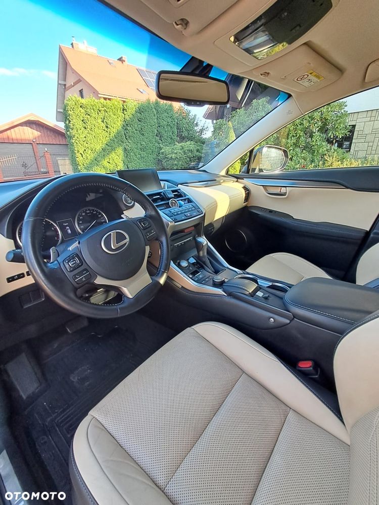 Lexus NX - 23