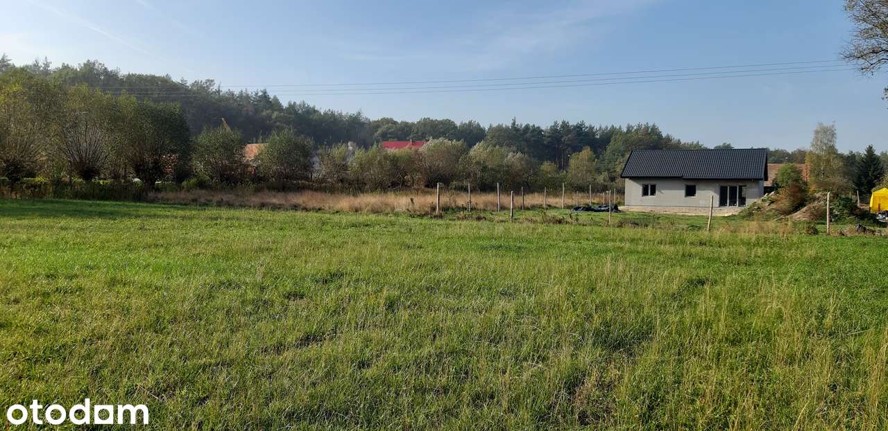 Działka budowlana, Prochowice 1200 m² , prąd, MPZP,  84 z/m2 - Pełny obrazek: 4/8