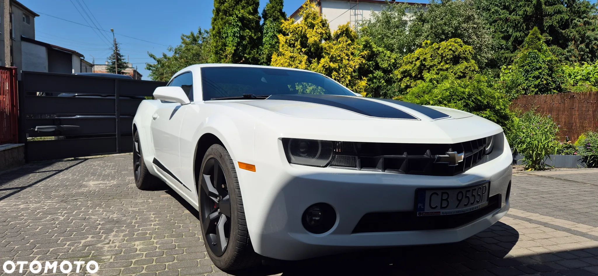 Chevrolet Camaro - 1