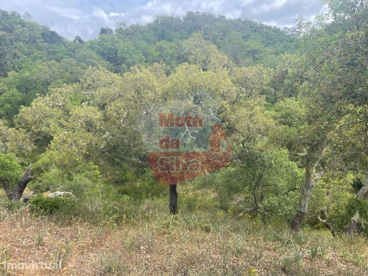 Terreno na aldeia de São Francisco da Serra - Grande imagem: 4/7