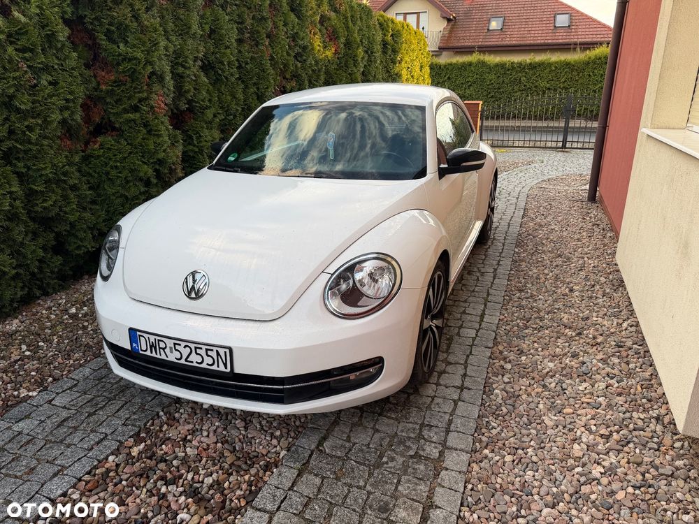 Volkswagen Beetle - 1