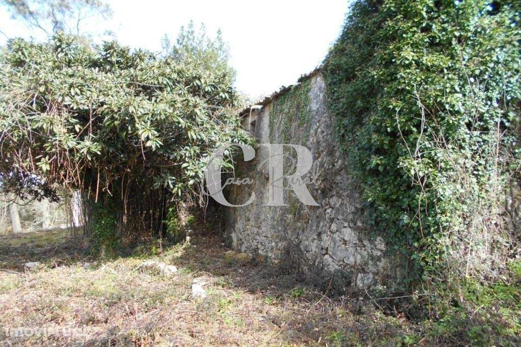 Casa em ruina para recuperar próxima da vila de Ansião. - Grande imagem: 5/22
