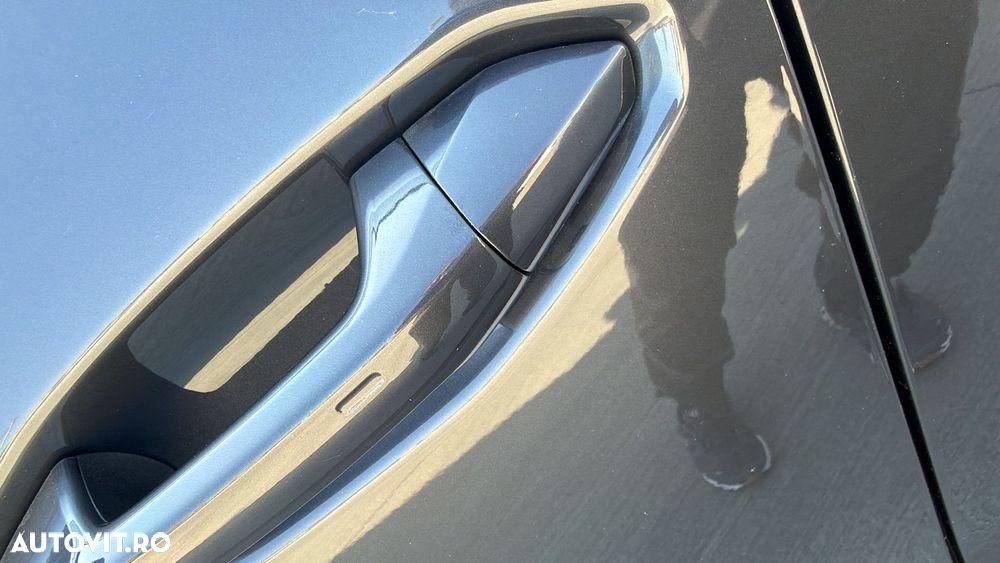 Cupra Terramar 1.5 eTSI DSG Tribe Edition - 10