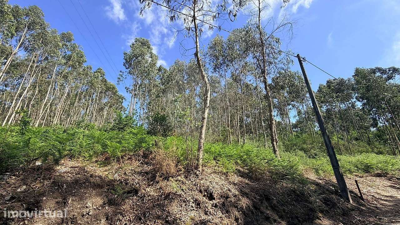 Terreno  para venda - Grande imagem: 2/4