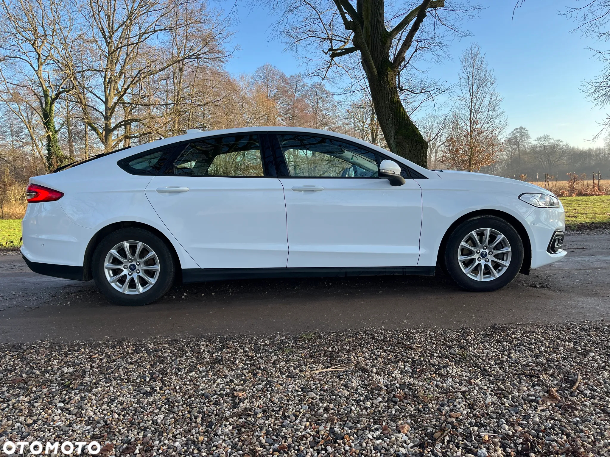 Ford Mondeo 2.0 EcoBlue Edition - 7