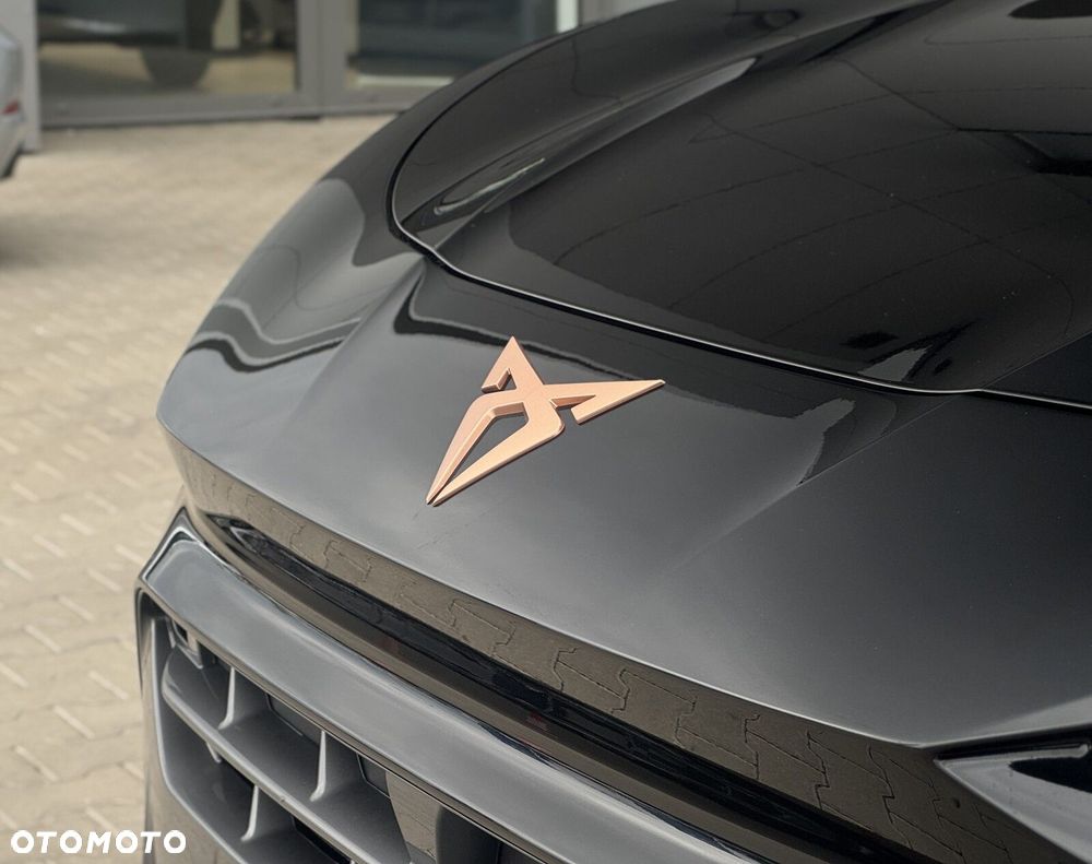 Cupra Terramar - 7