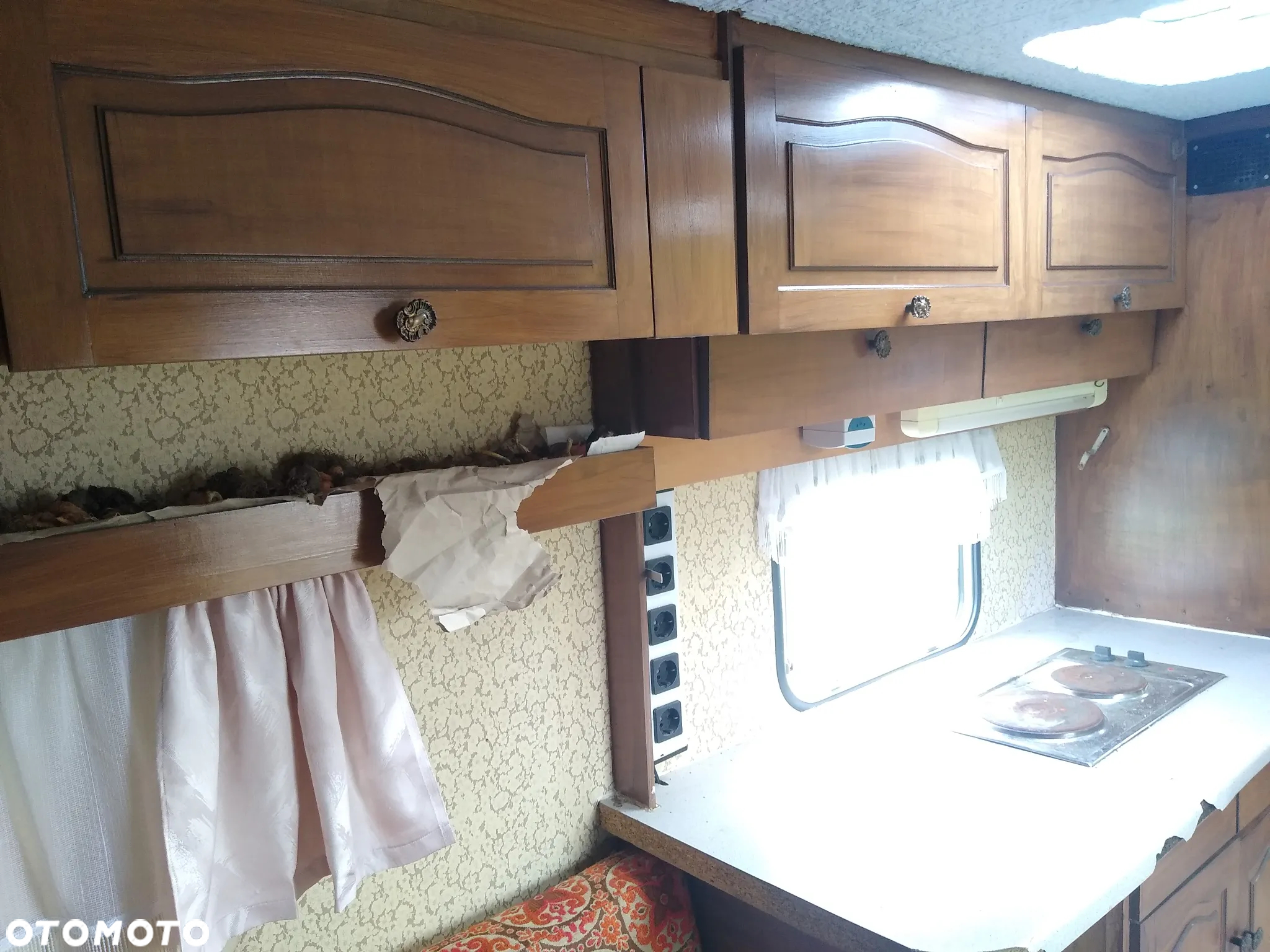 KNAUS Rubin - 11