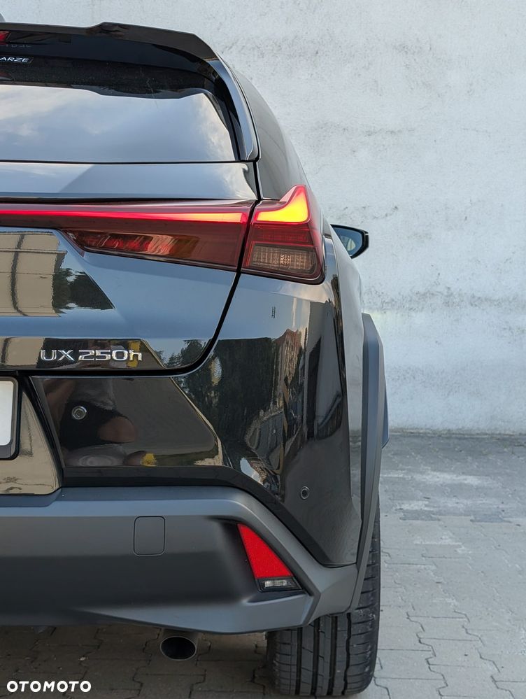 Lexus UX 250h GPF Business 2WD - 31