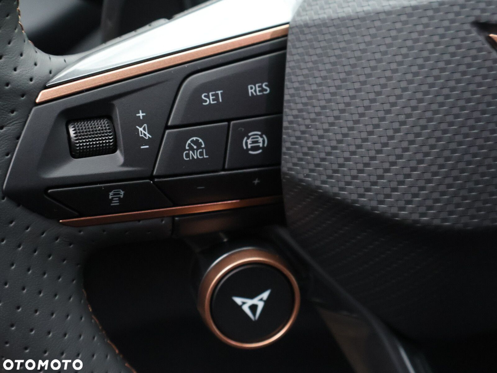 Cupra Terramar 1.5 eTSI mHEV DSG - 20