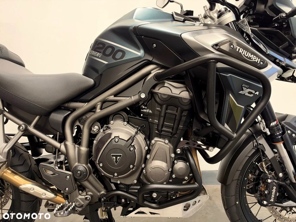 Triumph Tiger - 20