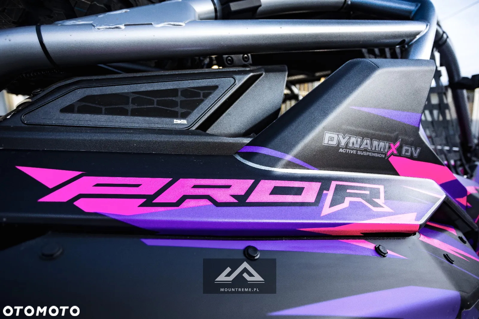 Polaris RZR
