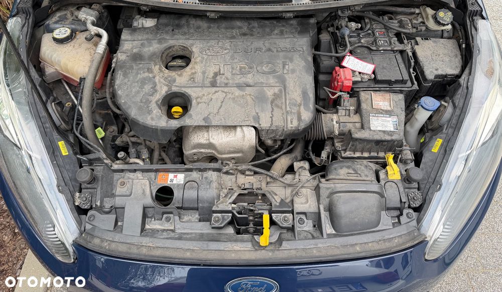 Ford Fiesta 1.5 TDCi Trend - 23