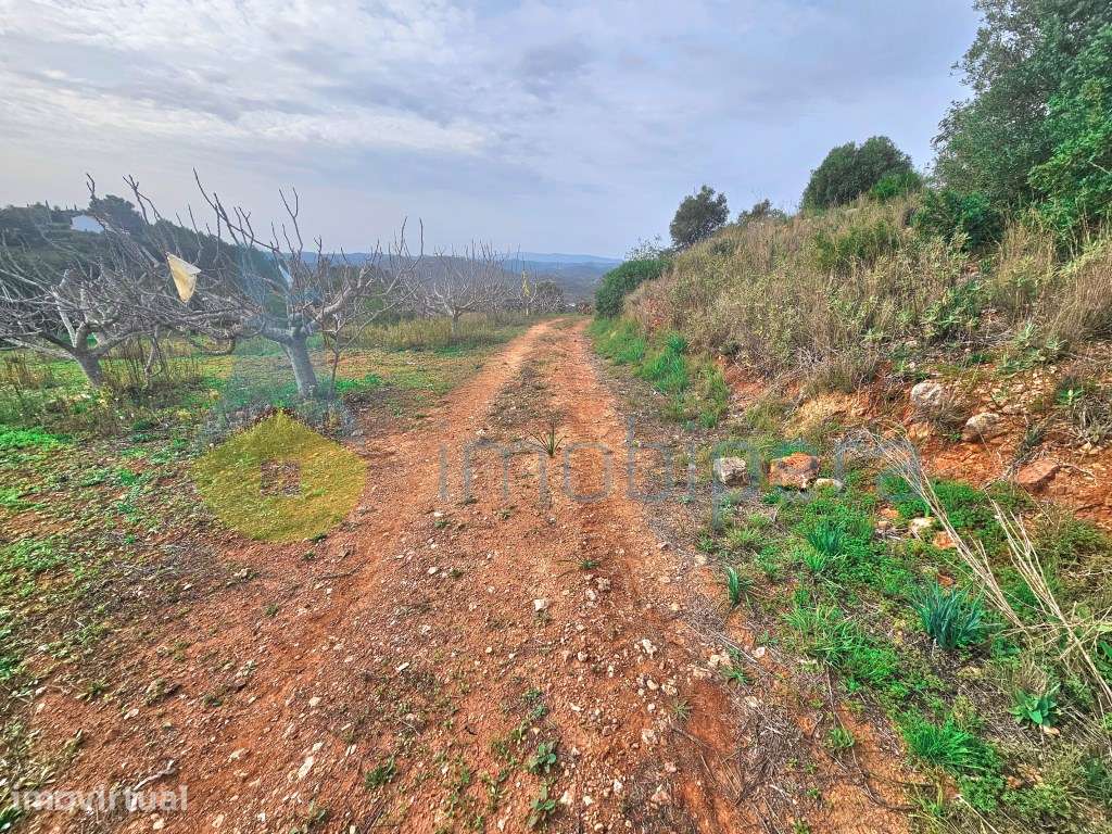 Algarve, Messines: Terreno rústico na evasão do campo, ideal para a... - Grande imagem: 3/12