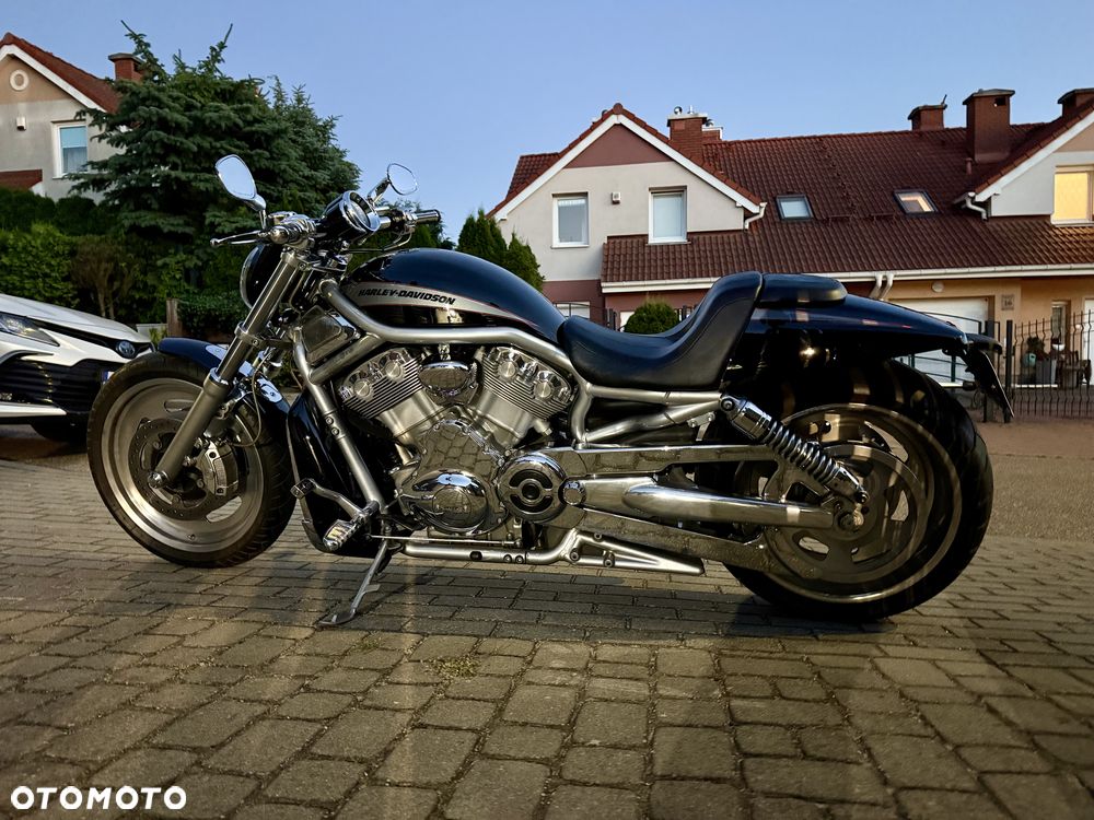 Harley-Davidson V-Rod Street Rod - 7