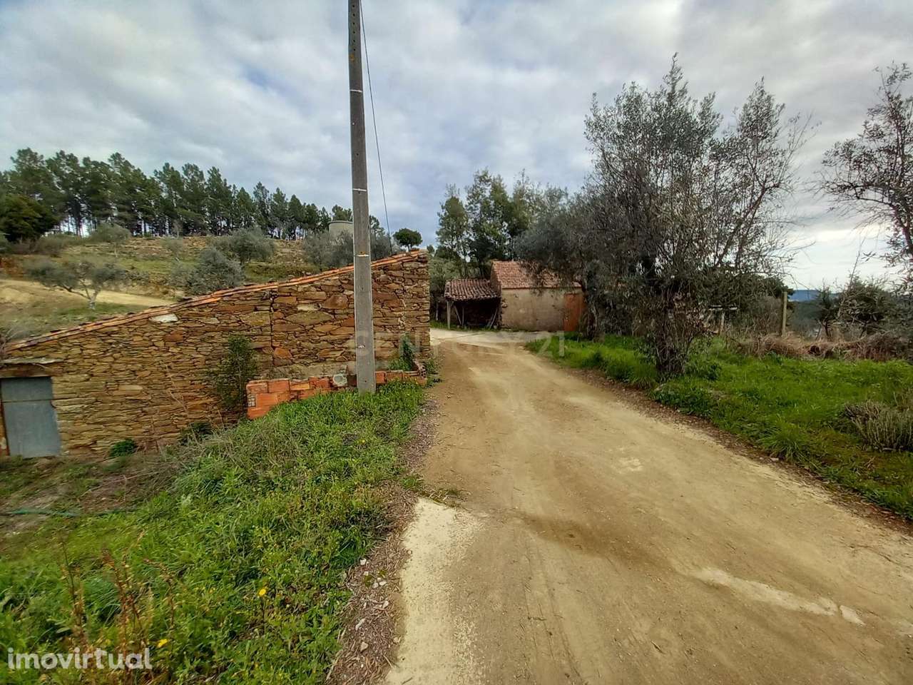 Terreno Rustico 920m2 Sobrainho da Ribeira - Grande imagem: 2/26