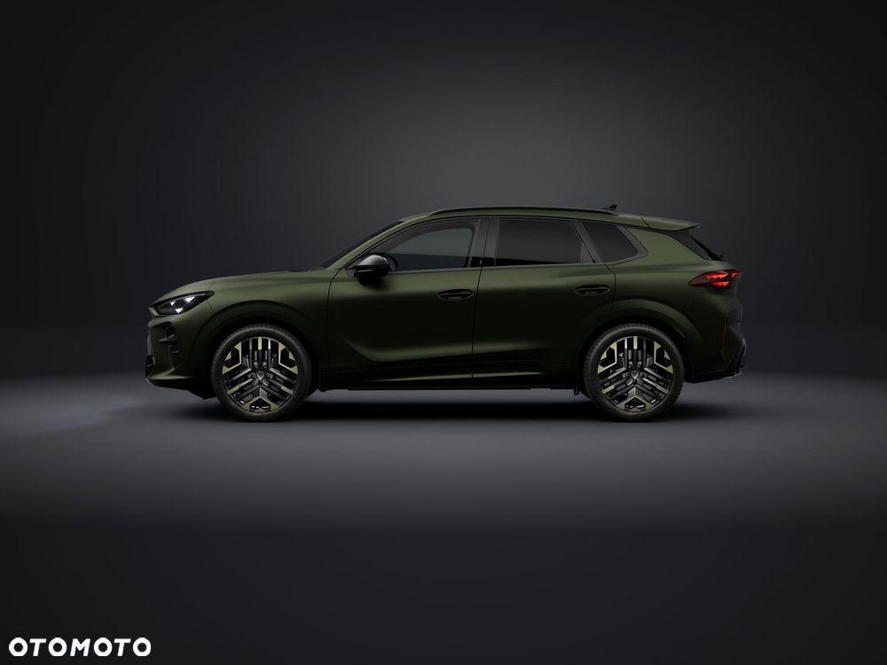 Cupra Terramar 2.0 TSI 4Drive Tribe Edition DSG - 2