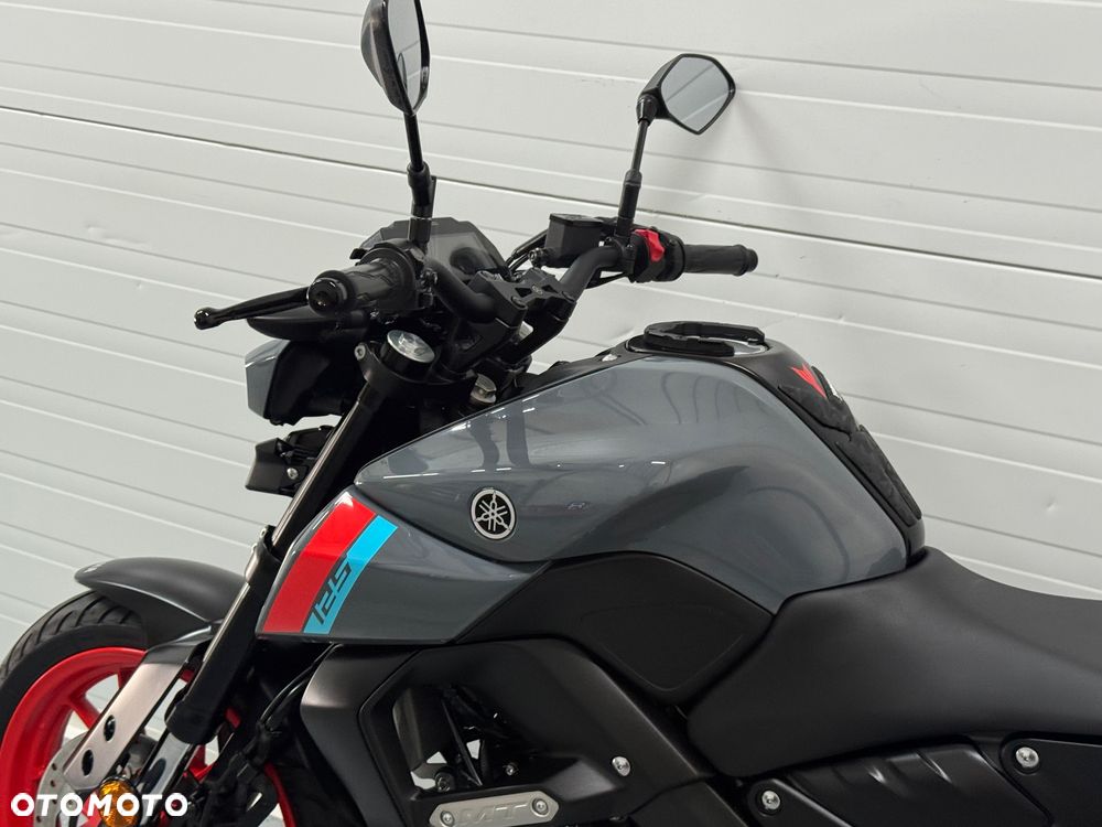 Yamaha MT - 21