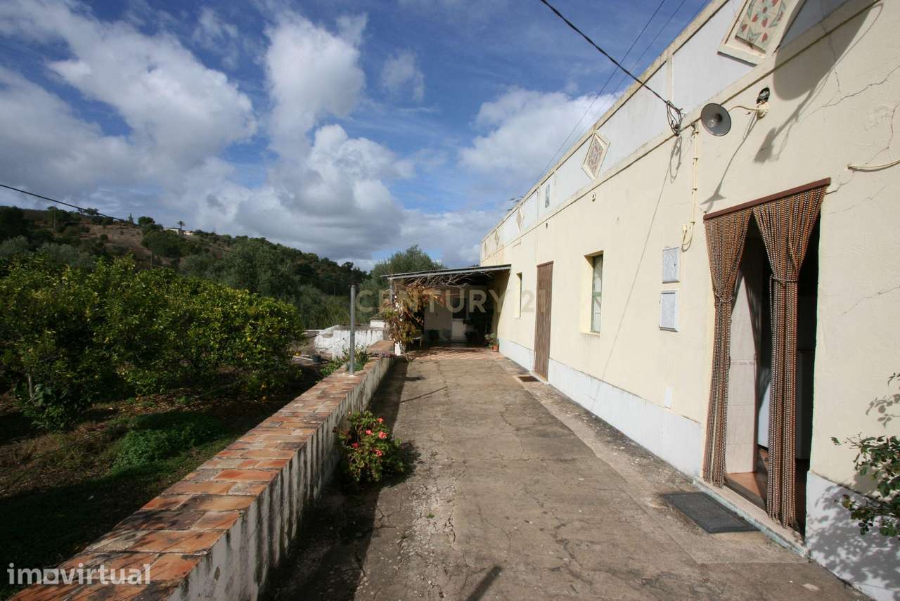 Quinta com moradia, armazem e vários anexos para turismo rural ou uso - Grande imagem: 3/38