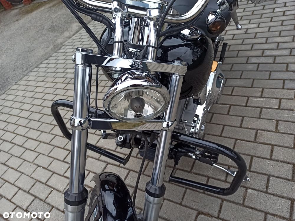 Harley-Davidson Softail Standard - 10