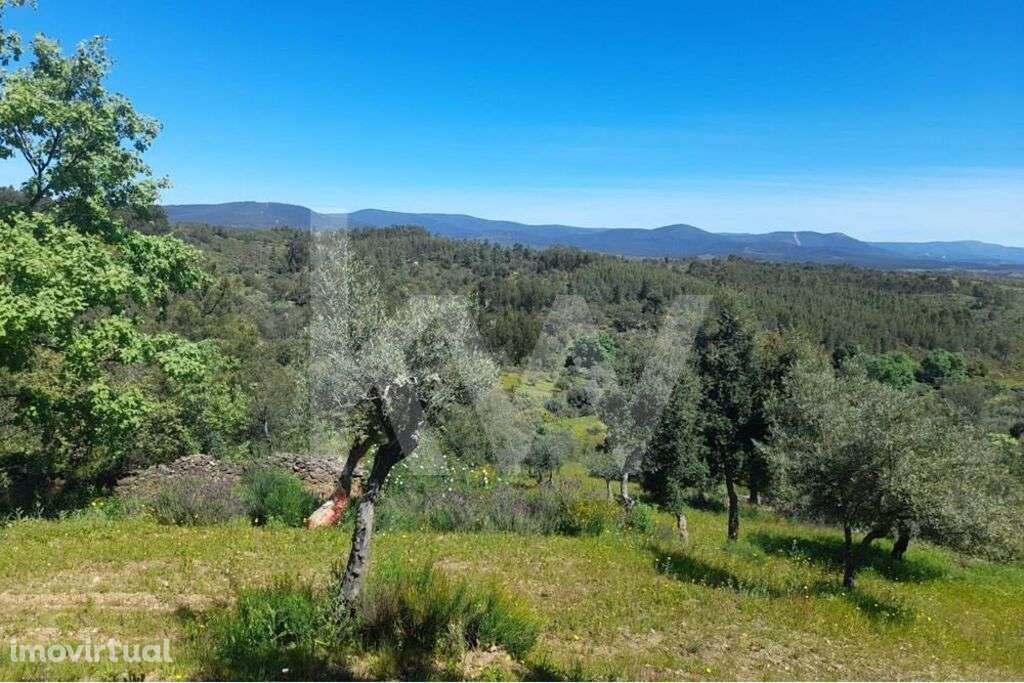 Terreno Rústico em Presa, freguesia de Aranhas, Penamacor, com 4800m2. - Grande imagem: 5/12
