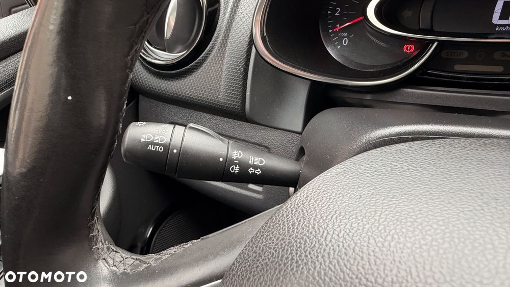Renault Clio - 24