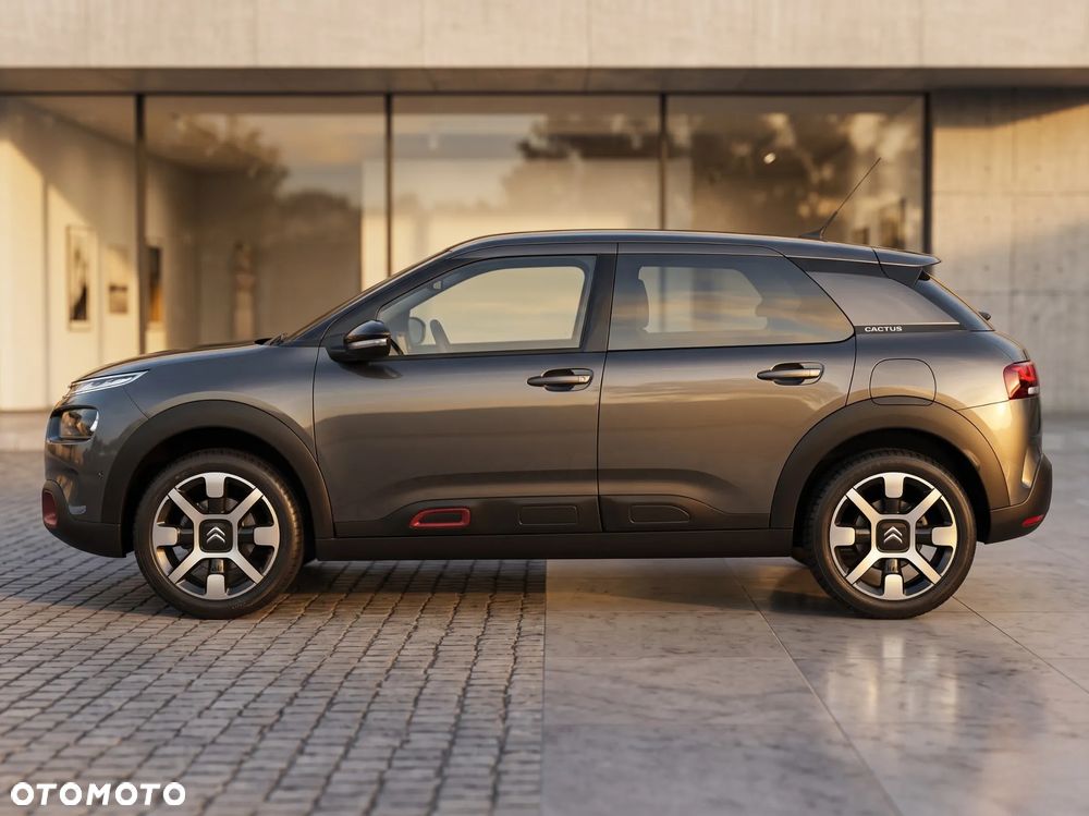 Citroën C4 Cactus PureTech 110 Stop&Start Shine - 12