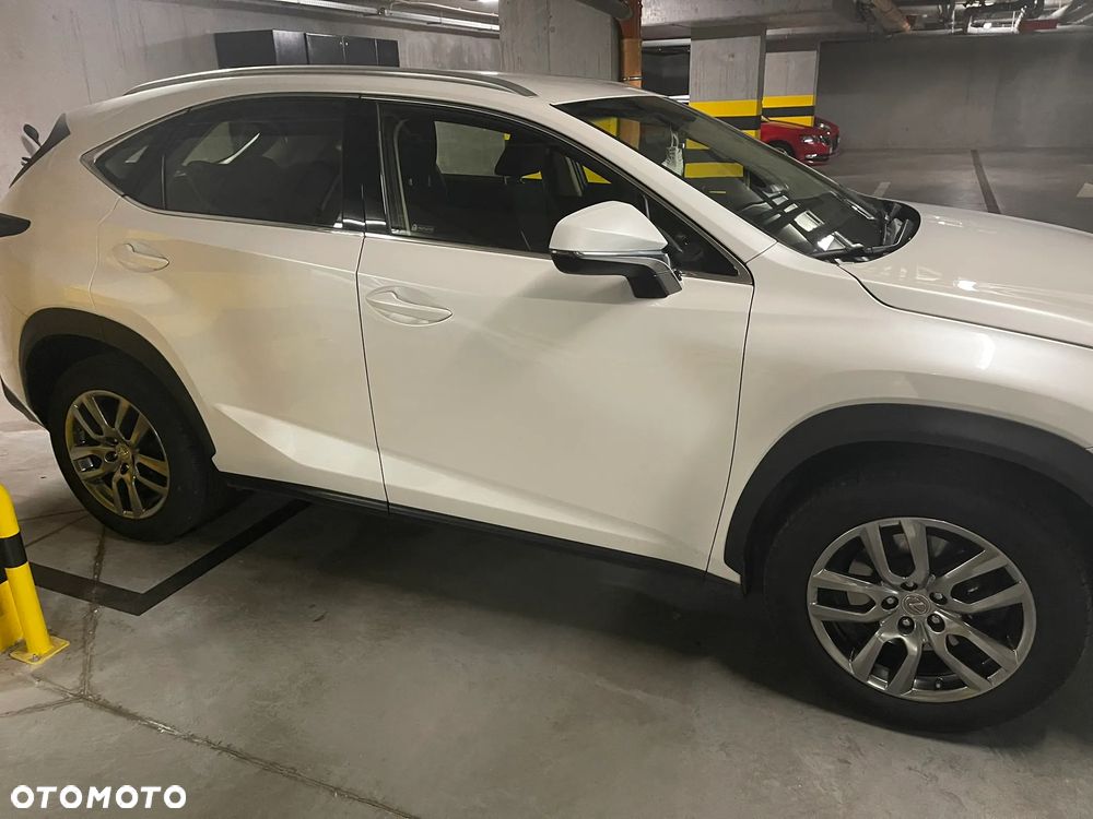 Lexus NX 300 Elegance AWD - 3