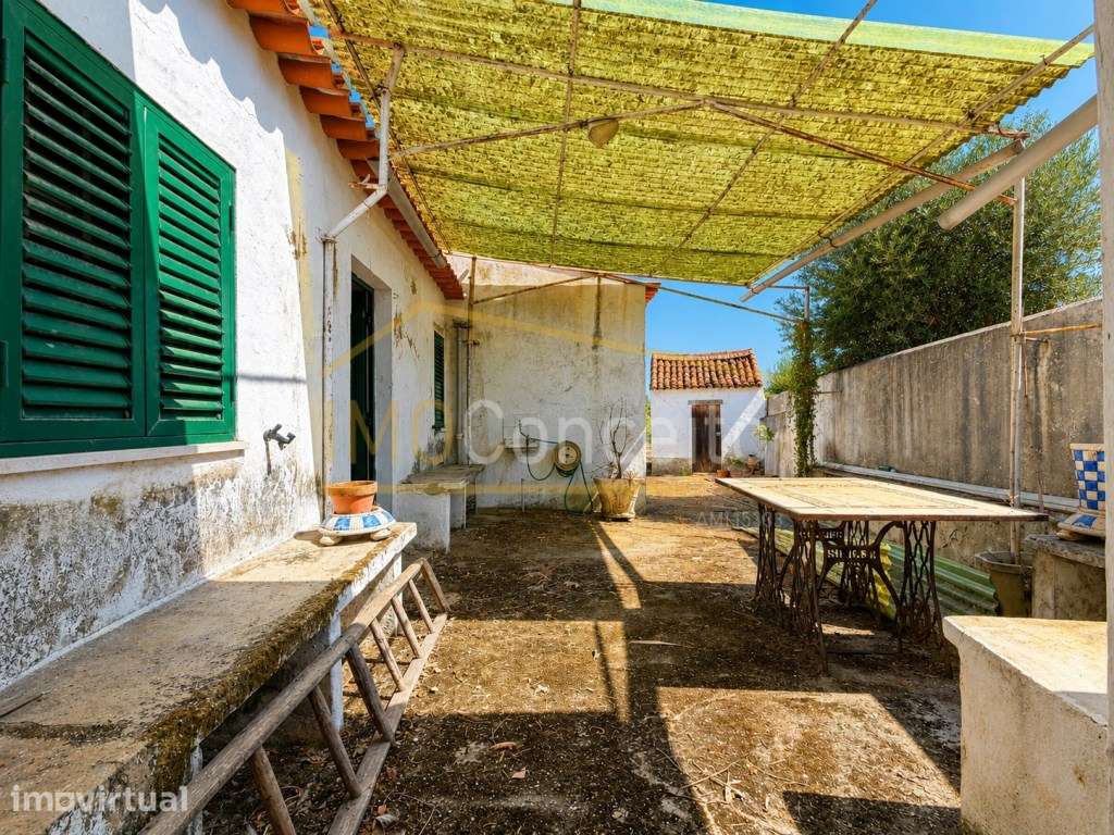 Moradia T4 com Quintal em Santa Margarida da Coutada Espaço e Tranq... - Grande imagem: 5/30