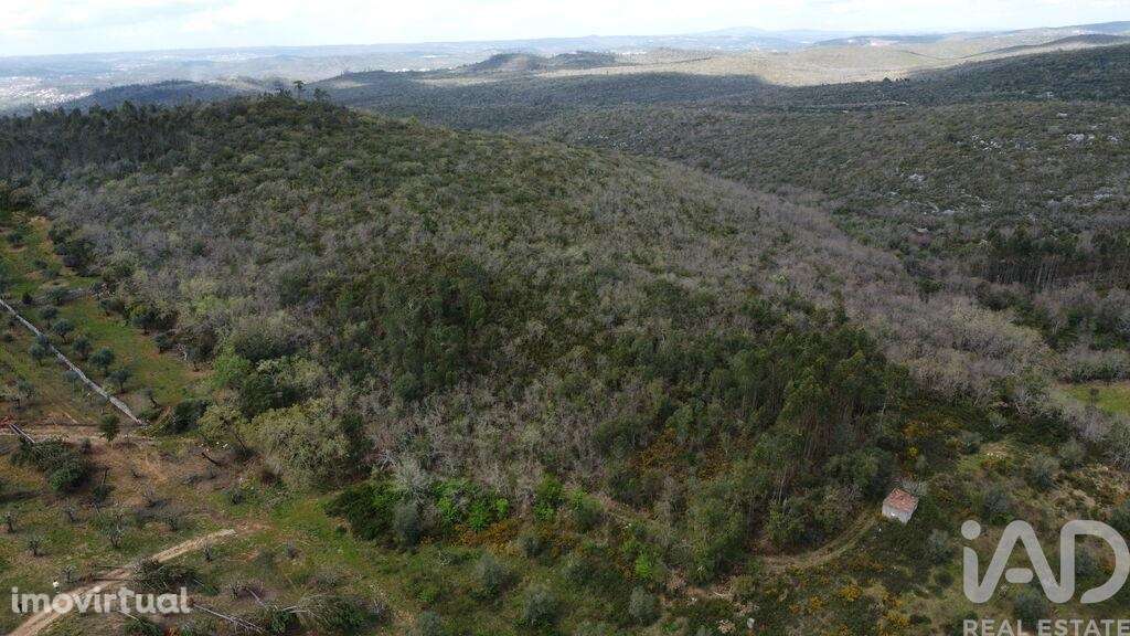 Terreno em Chãos - Grande imagem: 2/32