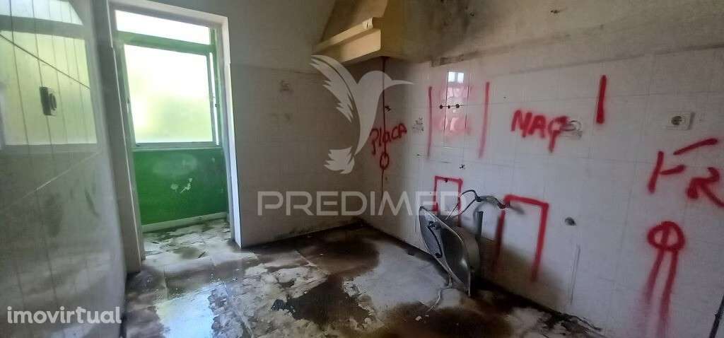 T1 RENOVADO - Grande imagem: 4/14