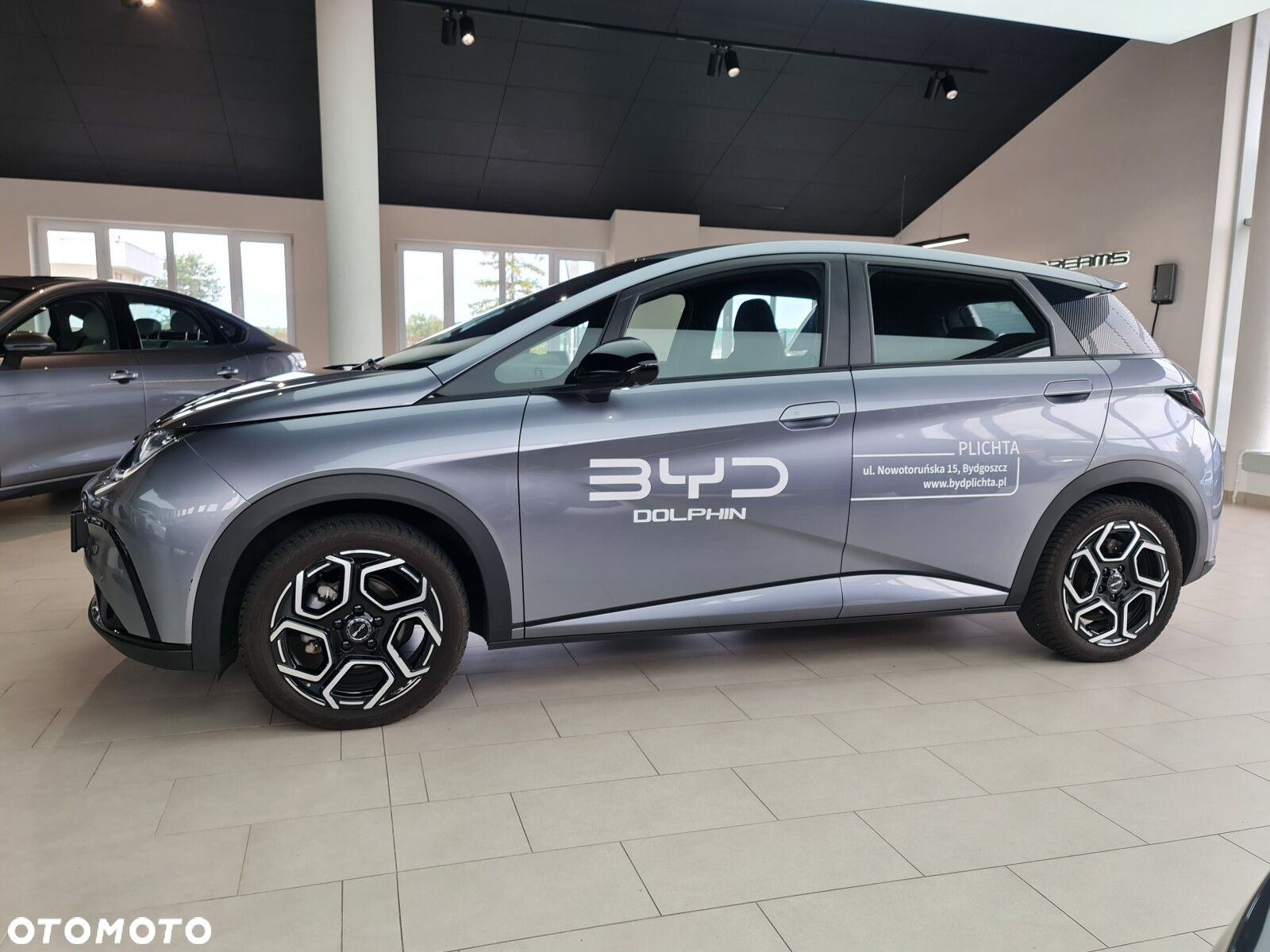 BYD Dolphin - 26