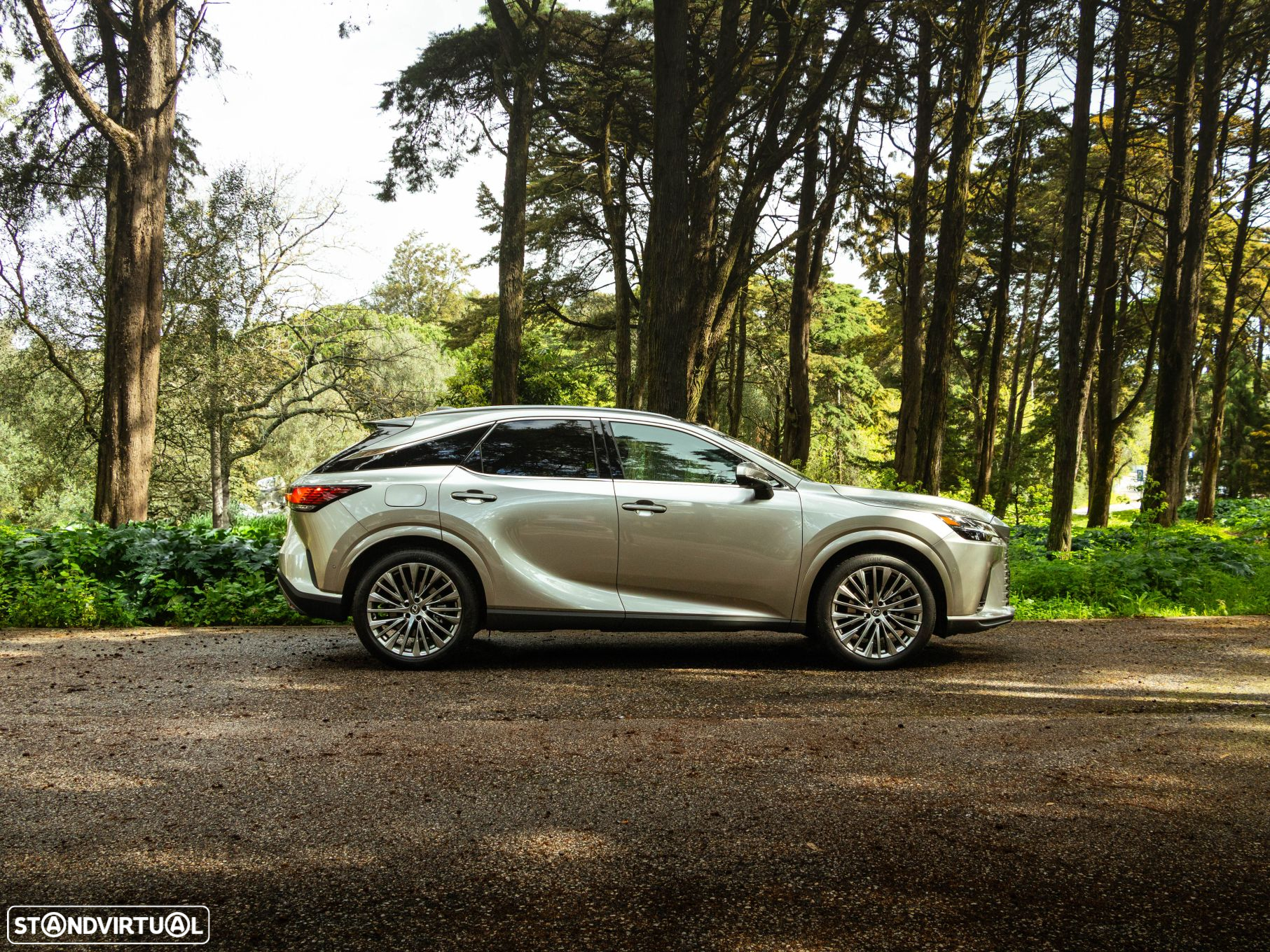 Lexus rx-450h - 7