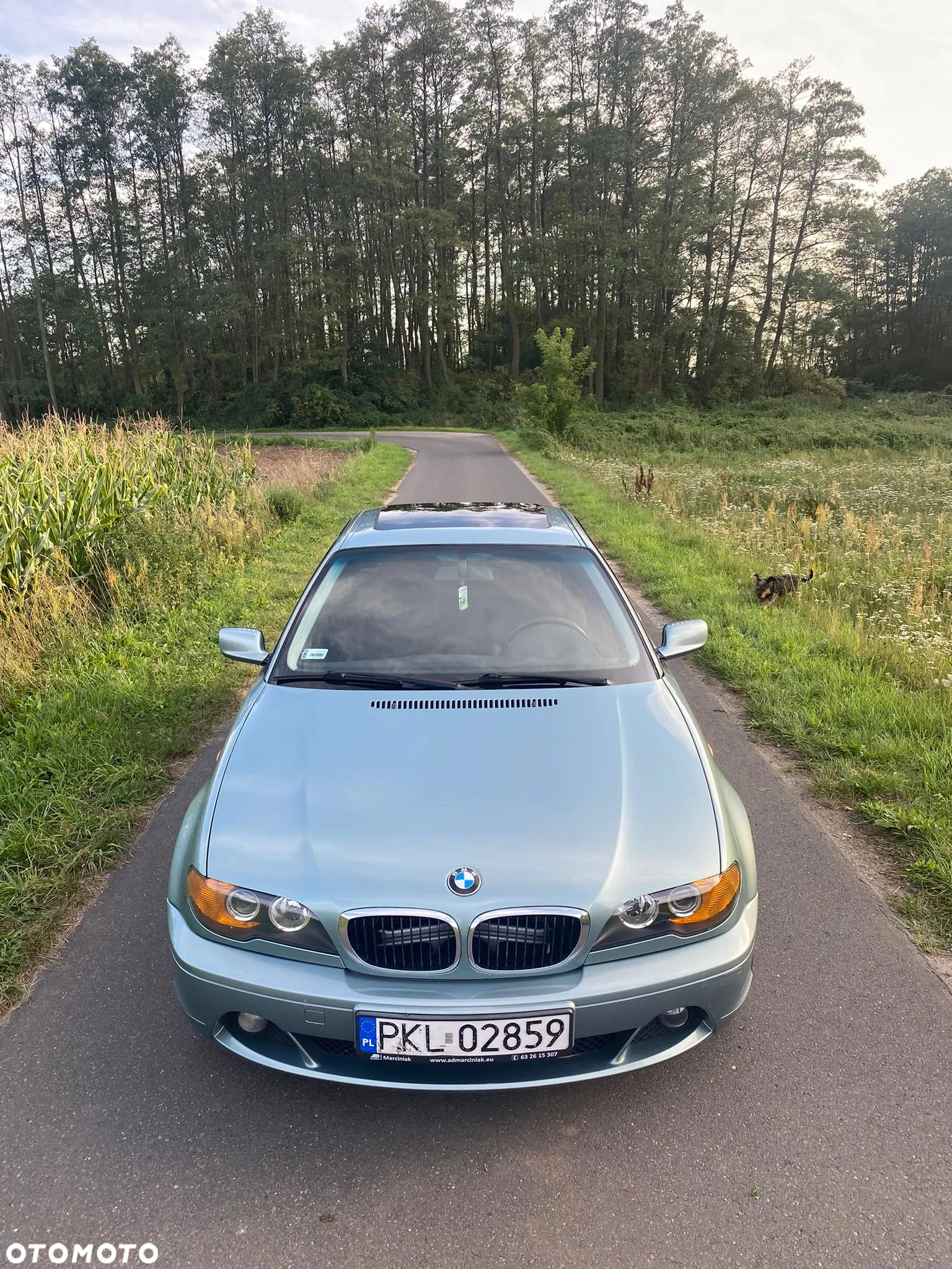 BMW Seria 3 330 Ci - 8
