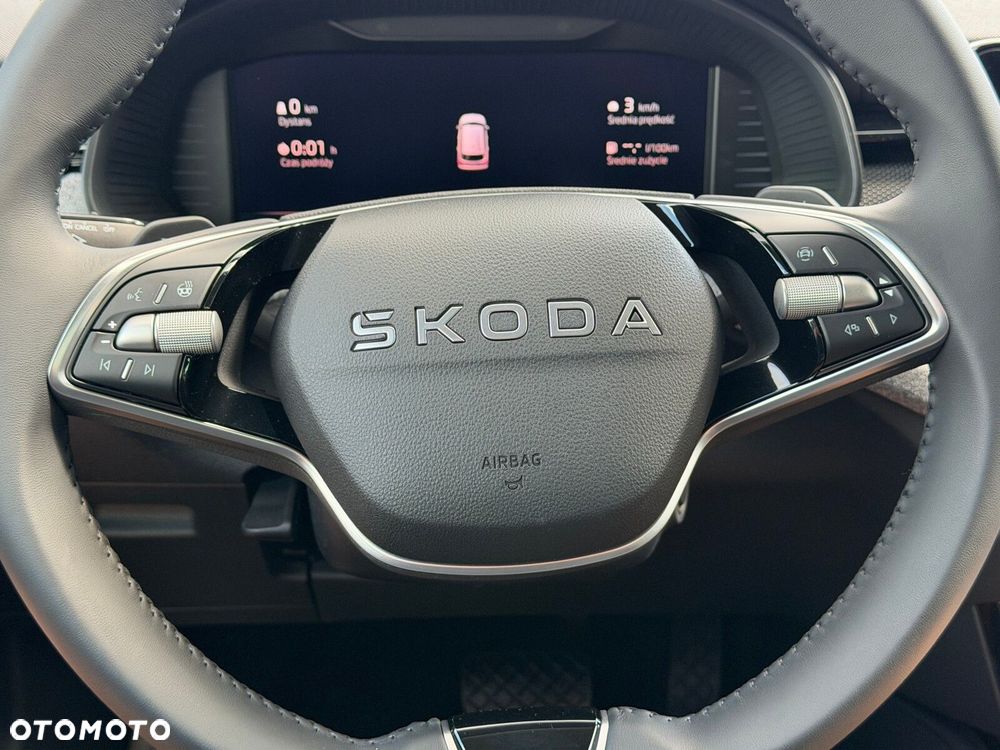 Skoda Kamiq - 13