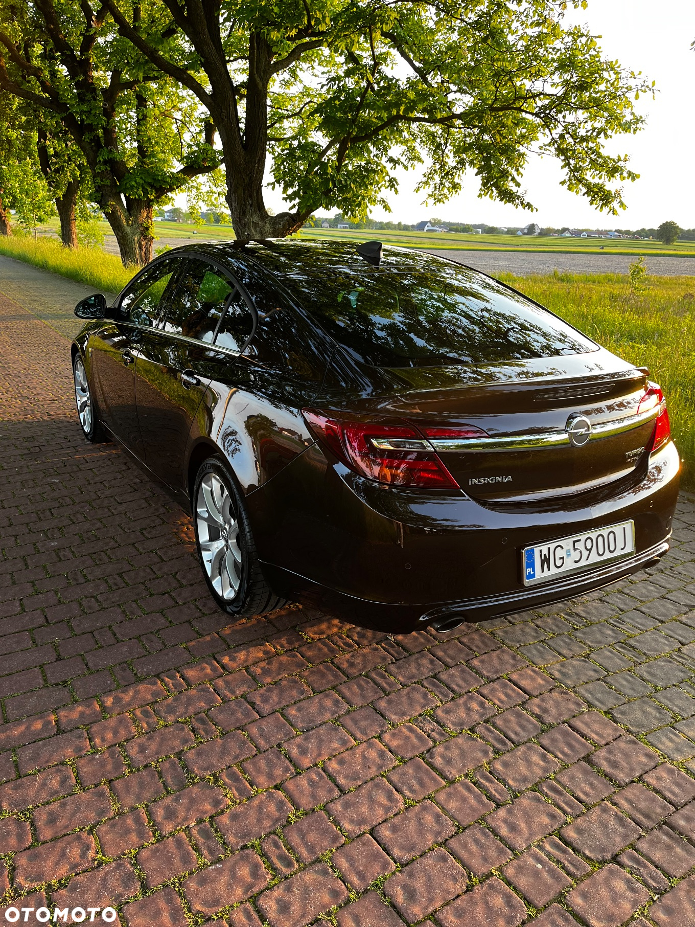 Opel Insignia 1.6 SIDI Turbo Sports Tourer - 11