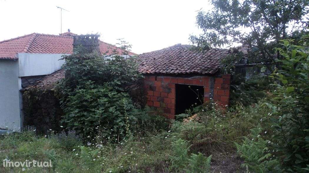 Quintinha com moradia em ruínas com 3.000m2 de terreno. - Grande imagem: 5/13