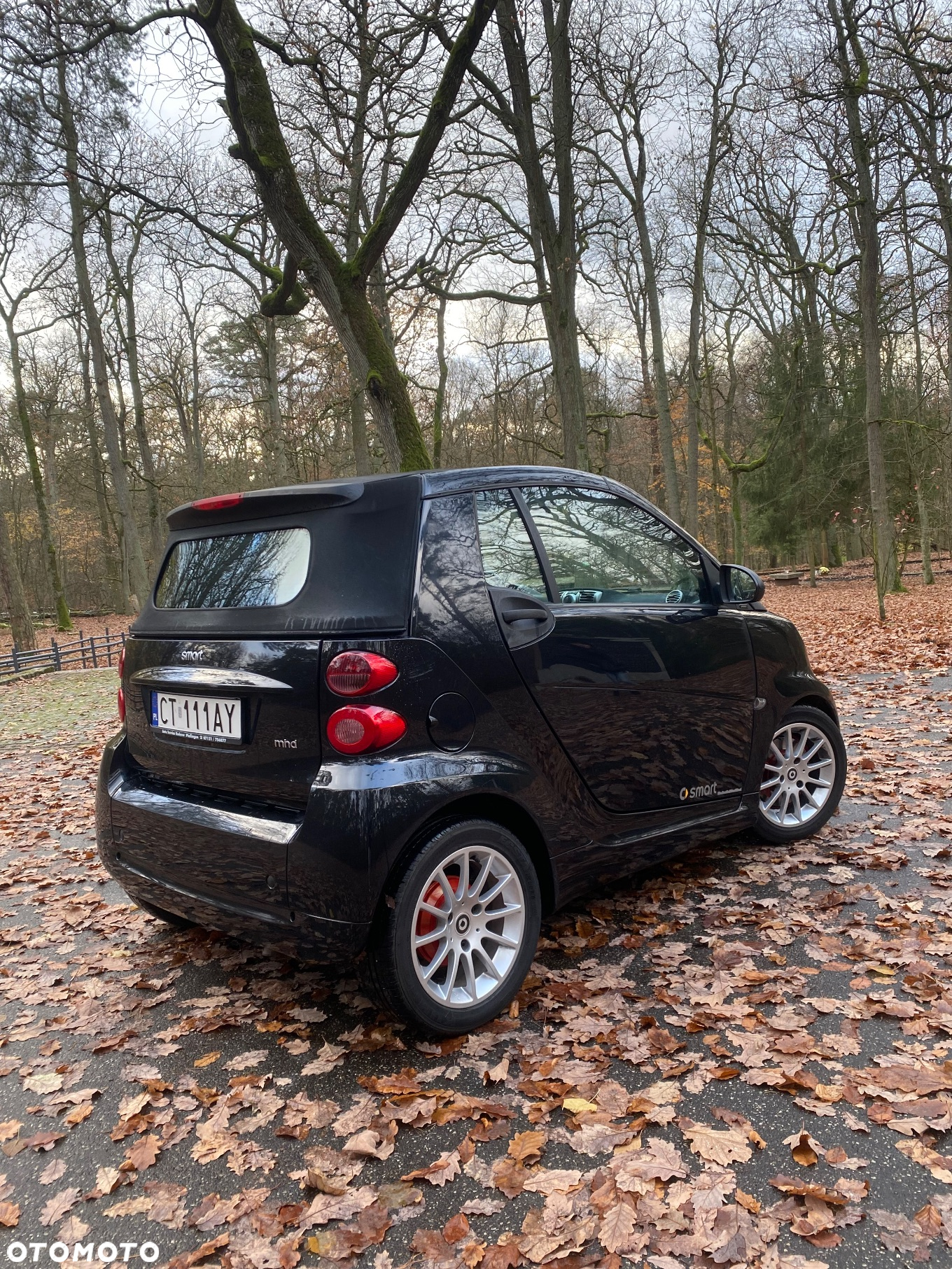 Smart Fortwo cabrio passion twinamic - 2