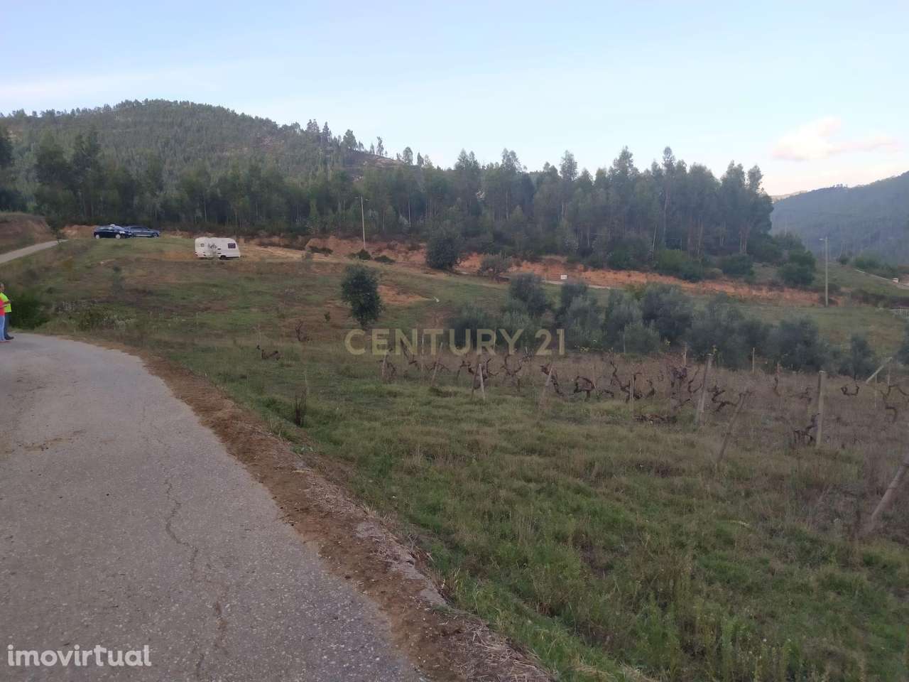 Terreno de 1 HECTARE - Ferreira do Zezere - Grande imagem: 5/6